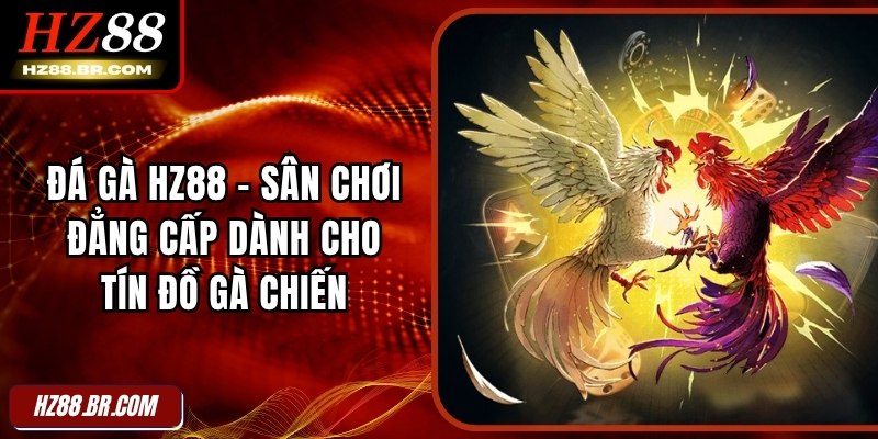 Đá Gà HZ88 – Sân Chơi Đẳng Cấp Dành Cho Tín Đồ Đam Mê Gà Chiến 1 Đá Gà HZ88 – Sân Chơi Đẳng Cấp Dành Cho Tín Đồ Đam Mê Gà Chiến